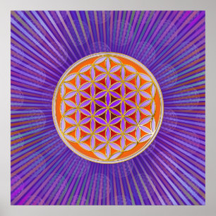 Levensloop - Button stijl oranje violet Poster