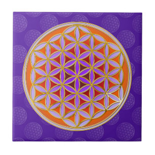 Levensloop - Button stijl oranje violet Tegeltje
