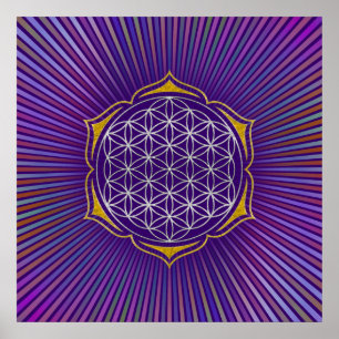 Levensloop - Lotus Silver Gold Poster