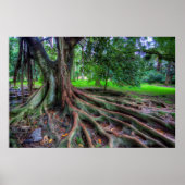 Levensloop Poster (Voorkant)