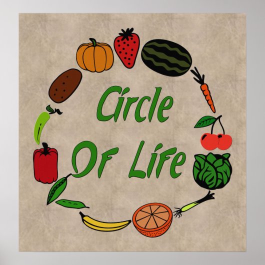 Levensloop Poster (Voorkant)