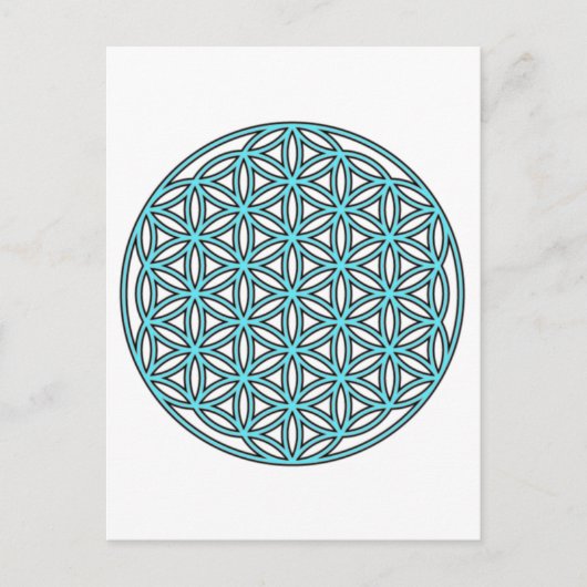 Levensloop Single Turquoise Briefkaart (Voorkant)