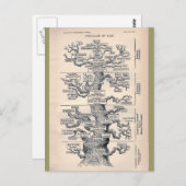 Levensloop / stamboom van Man Briefkaart (Voorkant / Achterkant)