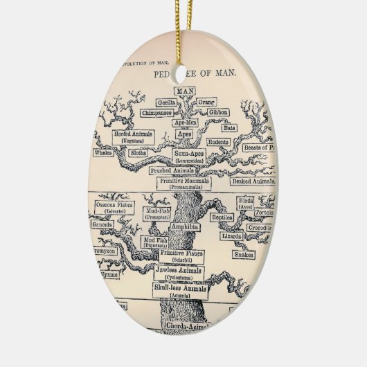 Levensloop / stamboom van Man Keramisch Ornament (Links)