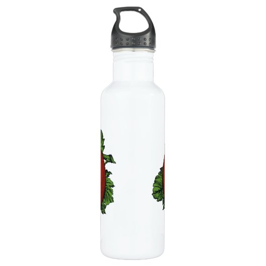  levensmiddelen, rijpe tomaten, groenten en fruit waterfles  (Achterkant)