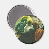 levensmiddelen, Winterpompoenen, pompoenen en app Magneet (Voorkant / Achterkant)