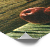 levensmiddelen, Winterpompoenen, pompoenen en app Poster (Hoek)