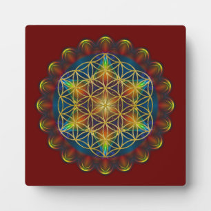 LEVENSSTROOM / Blume des Lebens - Mandala III Fotoplaat