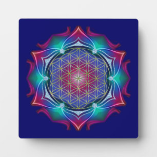 LEVENSSTROOM / Blume des Lebens - Mandala IV Fotoplaat