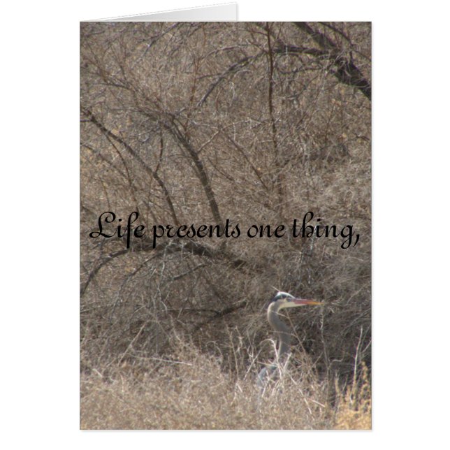 Levensveranderingen (Voorkant)