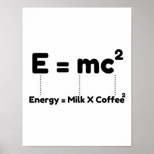 Levensvergelijking Poster