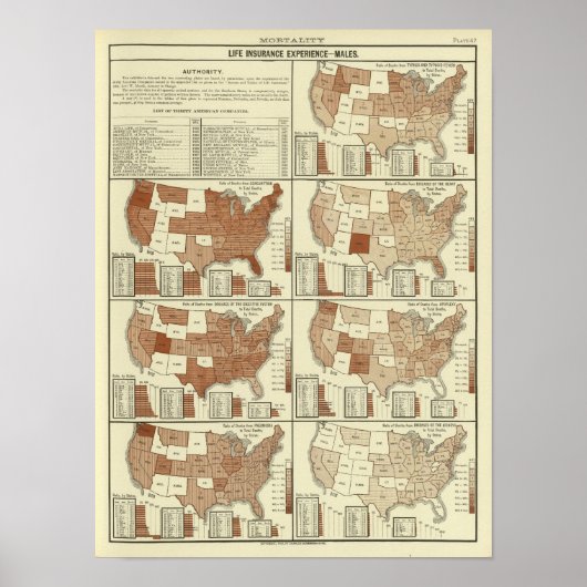 levensverwachting voor mannen poster (Voorkant)