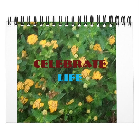 Levensviering Kalender (Hoes)