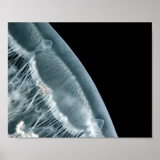 Lever de Lune - Impression d'art fine (Devant)