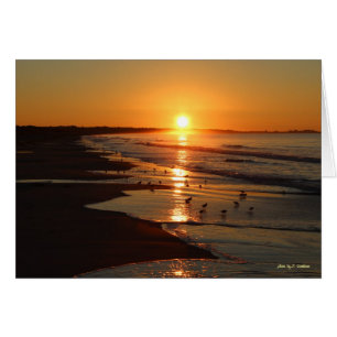 Lever de soleil à la plage de Horseneck