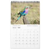 Lever de soleil sur le calendrier Wildli du Kenya  (Jan 2026)