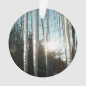 Lever du soleil à travers Icicles hiver Photograph (devant)