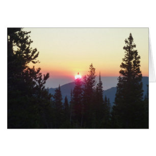 Lever du soleil dans la forêt à Rocky Mountain