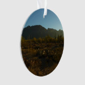 Lever du soleil du Saguaro dans le parc national d (devant)