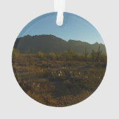 Lever du soleil du Saguaro dans le parc national d (dos)