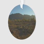 Lever du soleil du Saguaro dans le parc national d (devant)