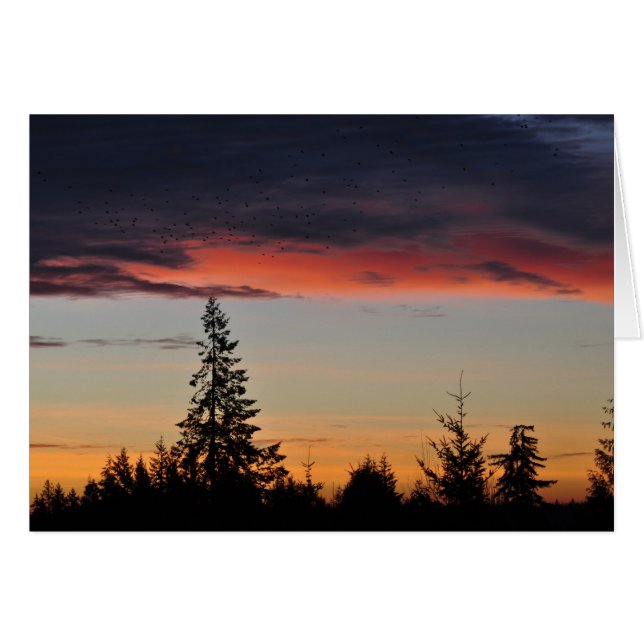 Lever du soleil et arbres (Devant horizontal)