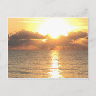 lever du soleil sur la carte postale de Palm Cove