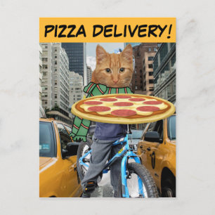 LEVERING PIZZA! CAT-BRIEFKAARTEN BRIEFKAART