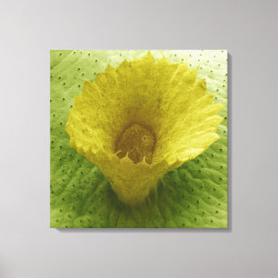 Levermos Gemma Cup Canvas Afdruk