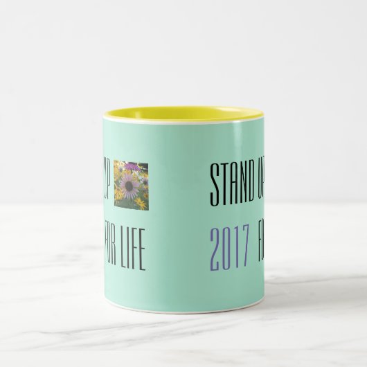 LEVEZ-VOUS POUR LA TASSE 2017 DE LA VIE (Centre)