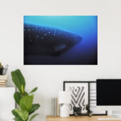 Leviathan Poster (Thuiskantoor)