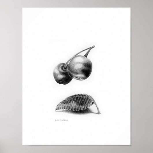 Levitatie Poster (Voorkant)