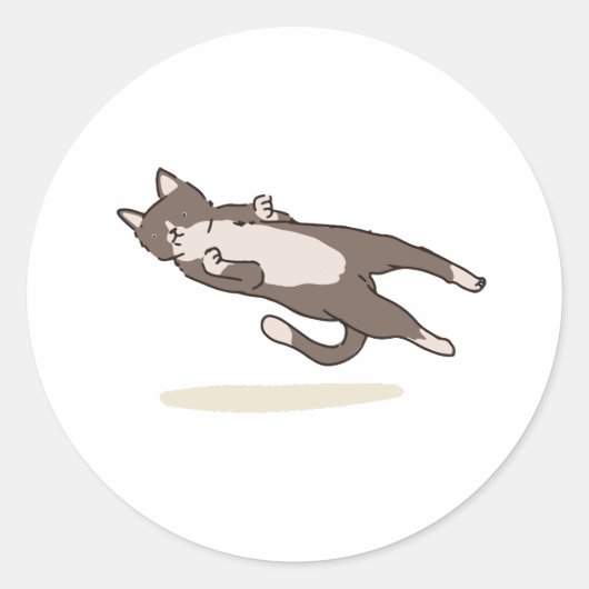 Levitating Cat sticker (Voorkant)