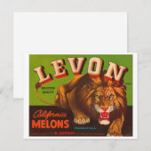 Levon Calfironia Melons  Crate Label - Lion Briefkaart (Voorkant / Achterkant)