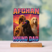 Lévrier afghan (Neutre)