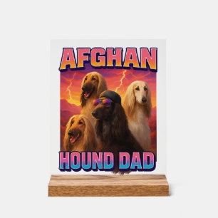 Lévrier afghan
