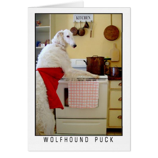 Lévrier russe Borzoi "Lévrier Puck" Chien (Devant)