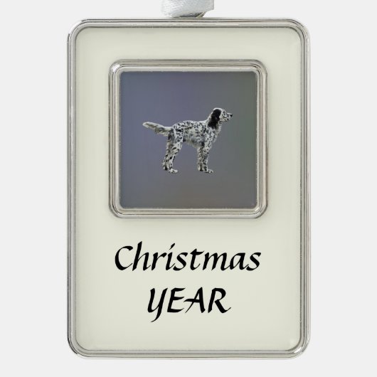 Lewellin Setter Verzilverd Kader Ornament (Voorkant)