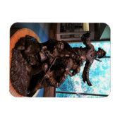 Lewis & Clark Statue, Fort Clatsop, Oregon Magneet (Horizontaal)