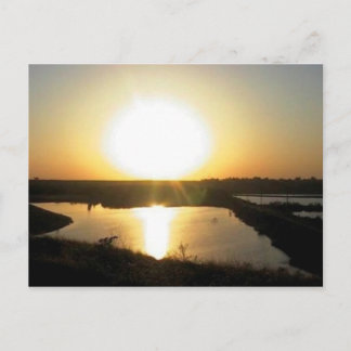 Lewis Eaton Trail Briefkaart