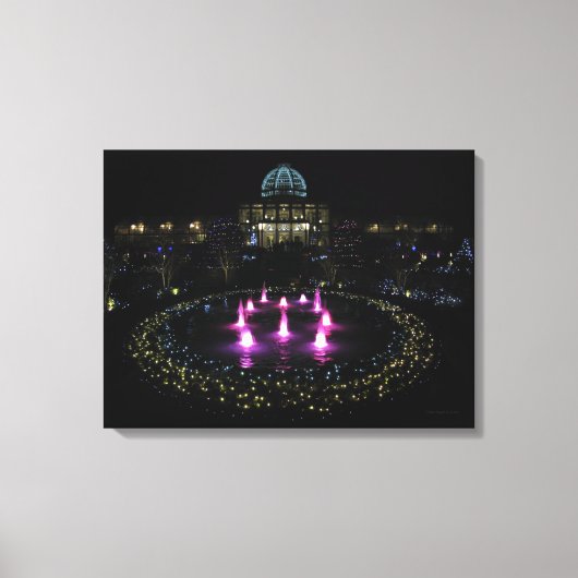 Lewis Ginter Botanical Garden Lights. Canvas Afdruk (Voorkant)