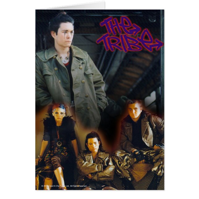 Lex de stam (Voorkant)