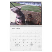 Lexi 2013 et calendrier de chien d'amis (Mar 2027)