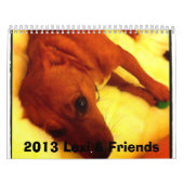 Lexi 2013 et calendrier de chien d'amis (Protection)
