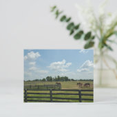 Lexington, Kentucky Briefkaart (Staand voorkant)