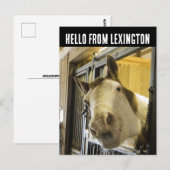 LEXINGTON KENTUCKY HORSE LACHEN GRAPPIG BRIEFKAART (Voorkant / Achterkant)