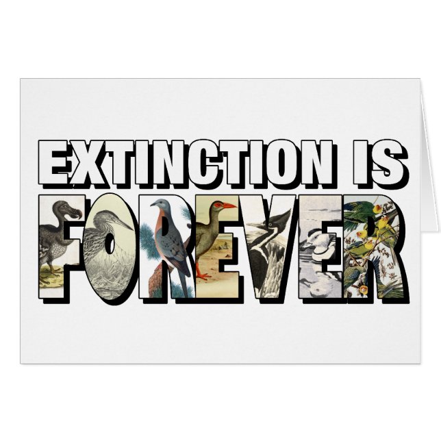 L'Extinction Est Pour Toujours (Devant horizontal)