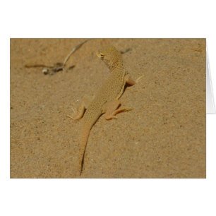 Lézard à doigts frangés du Mojave