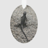 Lézard noir (dos)