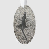 Lézard noir (devant)